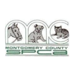  - Pic-A-Part Junkyard Barbie -  - Animal Charity | Junkyard near me in PA | Adopt Don't Shop - 306841954_469048448593086_3156929102534676208_n