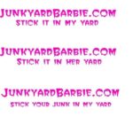  - Pic-A-Part Junkyard Barbie -  - Gallery | Junkyard Barbie | Pic A Part - 415260610_1078271306833231_3776389716445512573_n