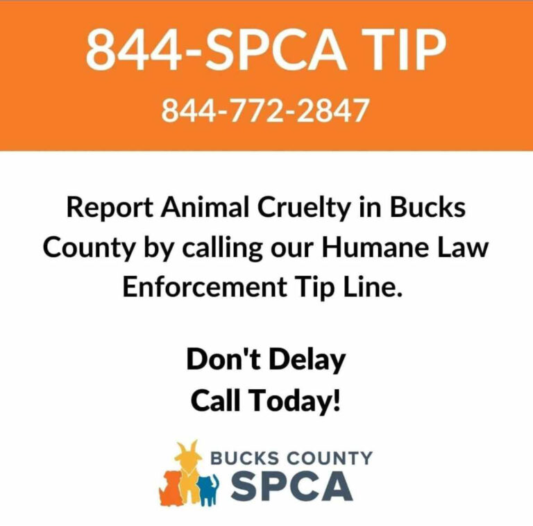  - Pic-A-Part Junkyard Barbie -  - Animal Charity | Junkyard near me in PA | Adopt Don't Shop - 415299630_940268990856129_8280787423320718953_n