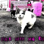  - Pic-A-Part Junkyard Barbie -  - Gallery | Junkyard Barbie | Pic A Part - 416071760_1334216110609994_823049668505374465_n