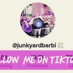  - Pic-A-Part Junkyard Barbie -  - Gallery | Junkyard Barbie | Pic A Part - 409583001_2486919674815598_6458524406603872170_n