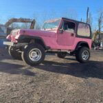  - Pic-A-Part Junkyard Barbie -  - Gallery | Junkyard Barbie | Pic A Part - 432277336_1125150755499744_8324133074724507901_n