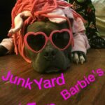  - Pic-A-Part Junkyard Barbie -  - Gallery | Junkyard Barbie | Pic A Part - 434357424_786998796672099_8490357645313393315_n