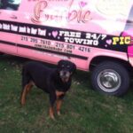  - Pic-A-Part Junkyard Barbie -  - Gallery | Junkyard Barbie | Pic A Part - 434470408_7283179685130175_4459708404185904397_n