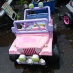  - Pic-A-Part Junkyard Barbie -  - Gallery | Junkyard Barbie | Pic A Part - 434686770_7313037235453647_6068046717468018625_n