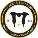 Animal Charity